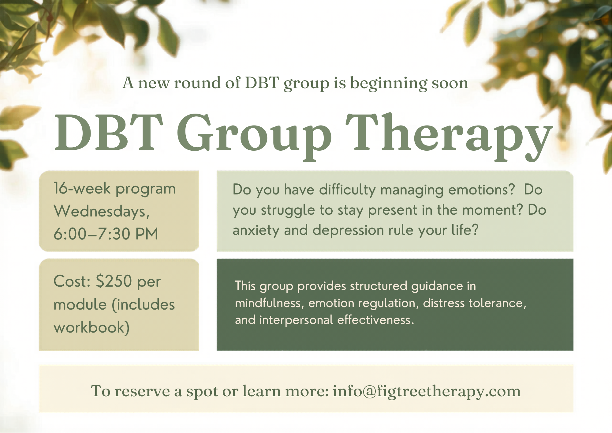 DBT Flyer